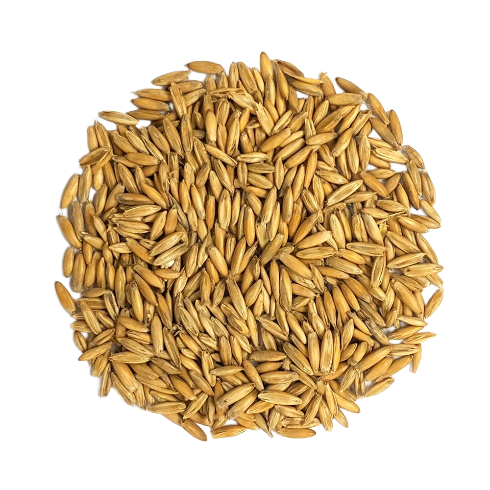 Oats